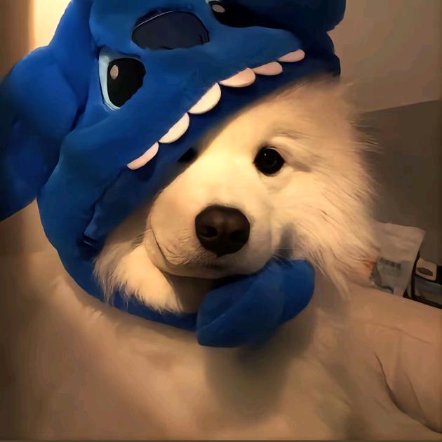 安诗瑜