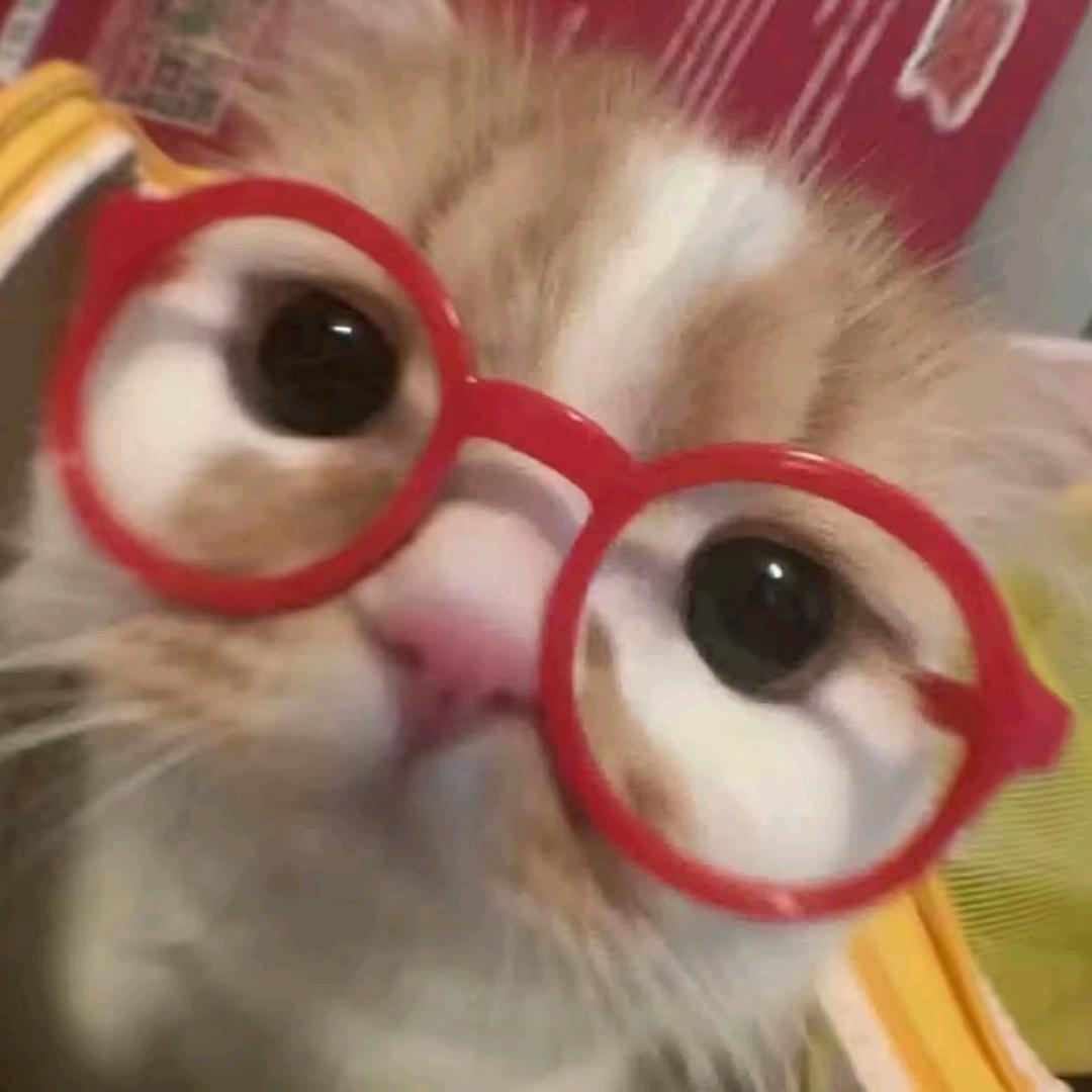 佳