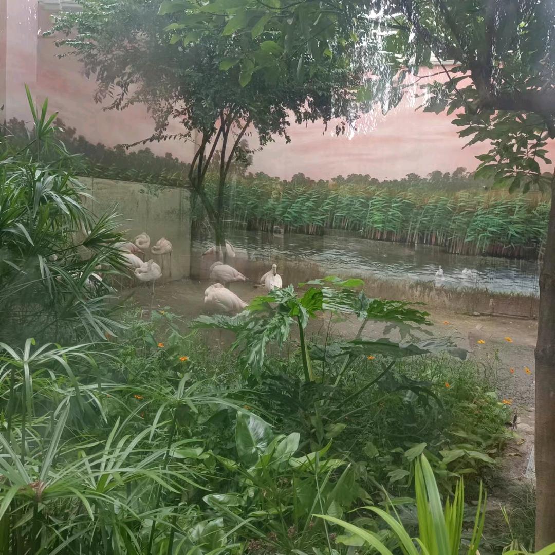 刘武