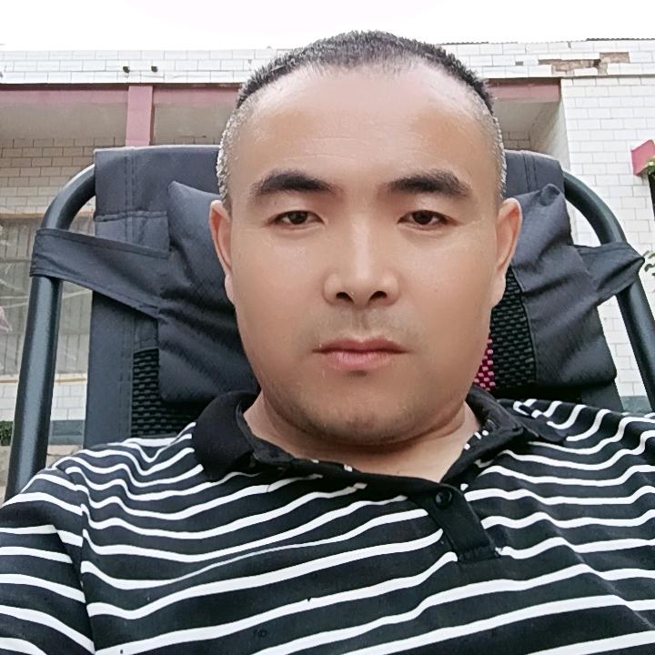 河北大名杨二奇