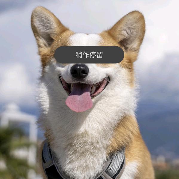 三角洲跑刀的小西米头像