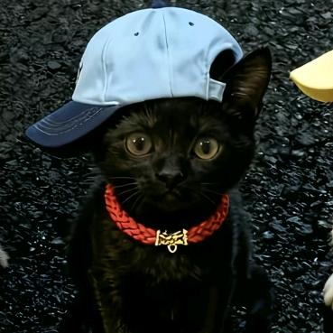 w一x