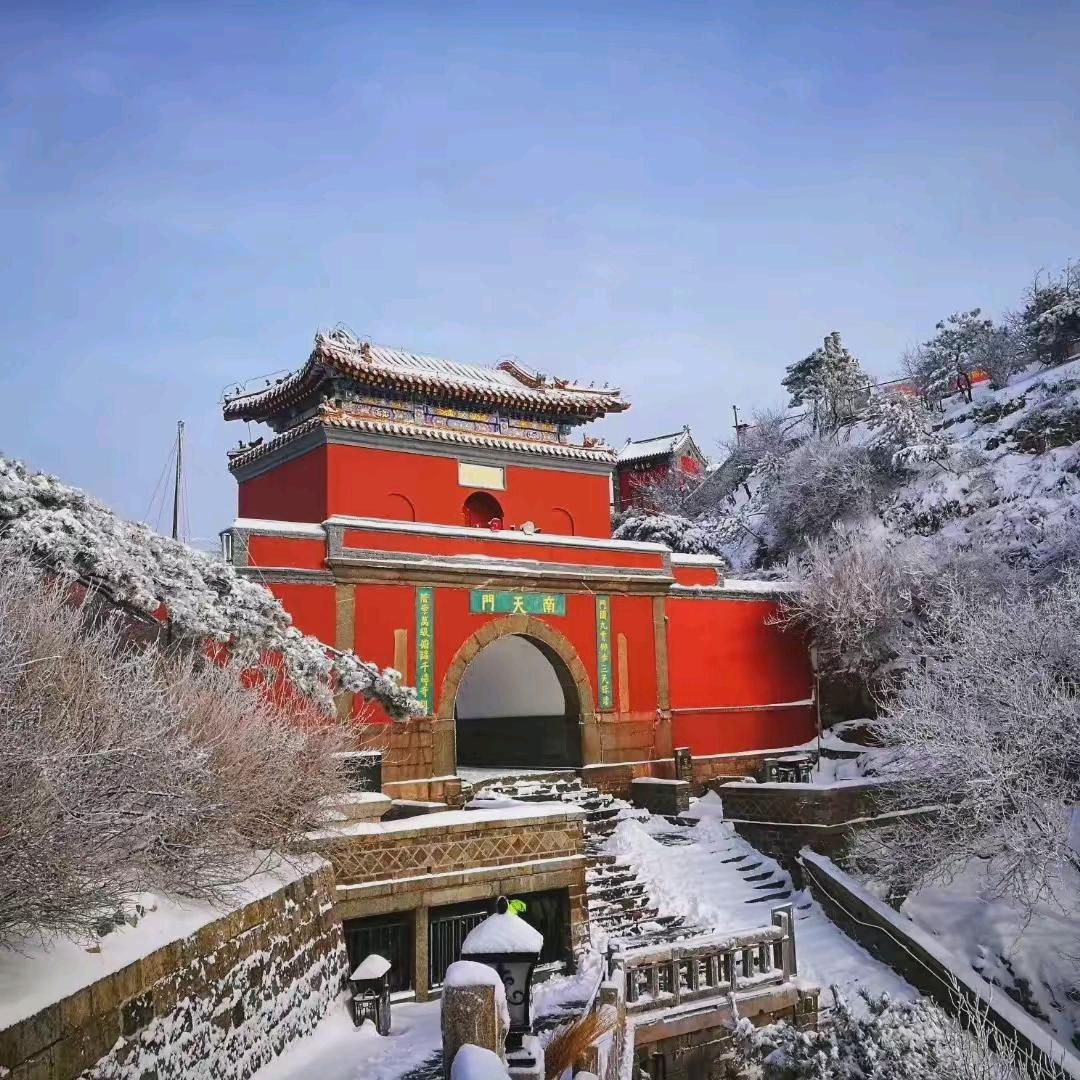 泰山贝贝