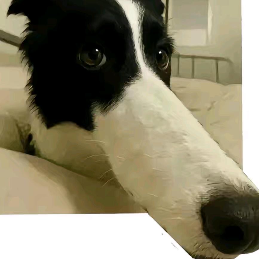 CC