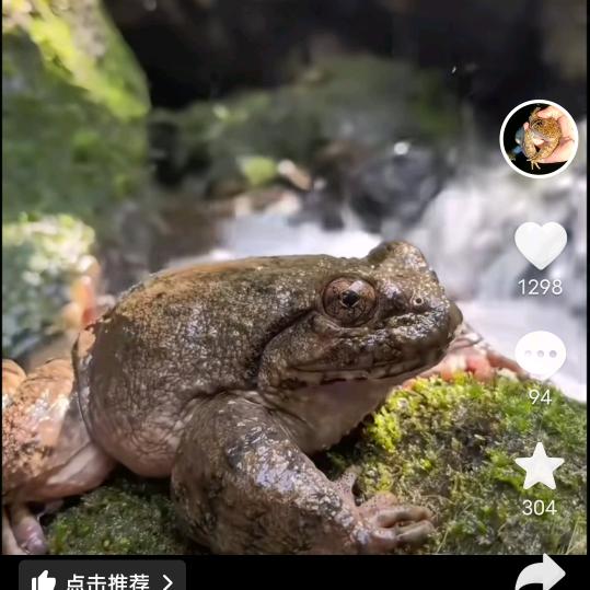 阿龙