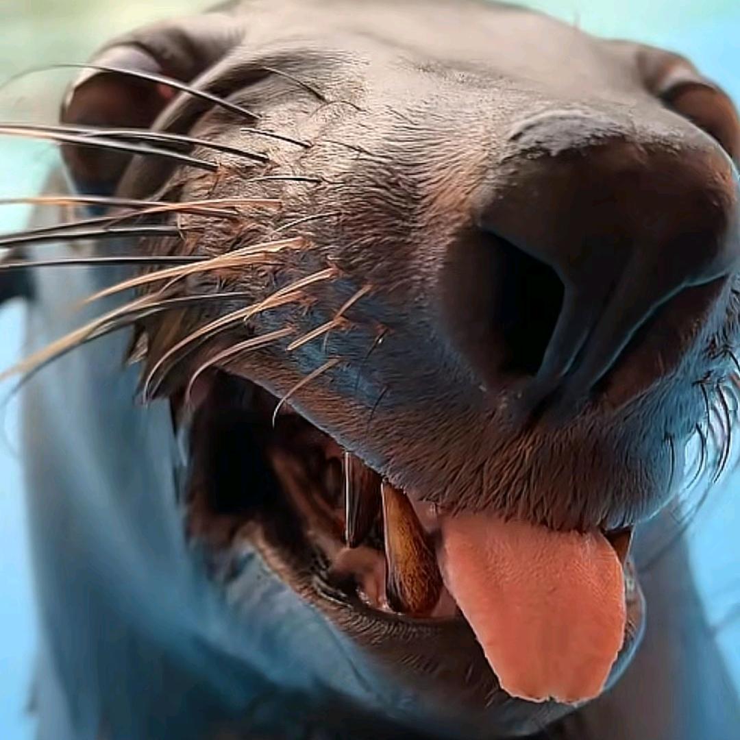 我爱吃杂粮煎饼嘿嘿😋😋