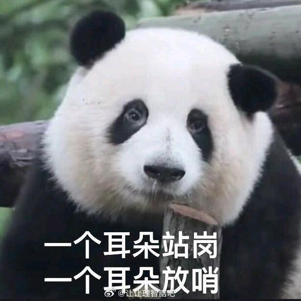 _炘沐_