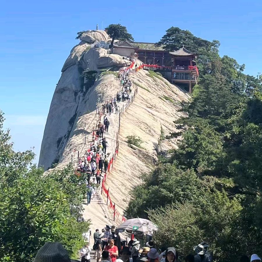 平平无奇