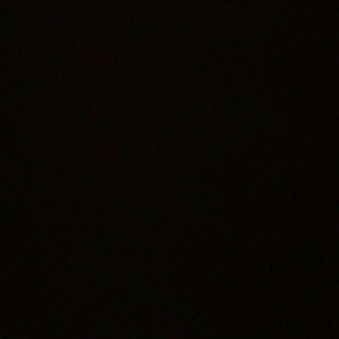 发财树