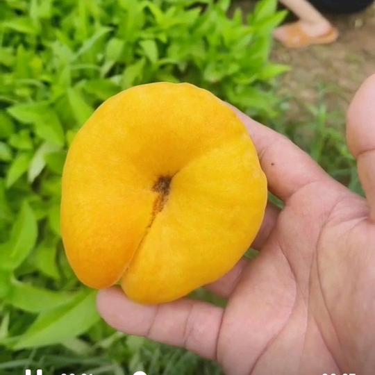 脚下路自己走