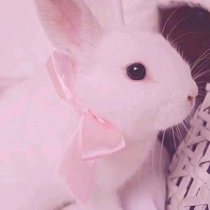 常~英
