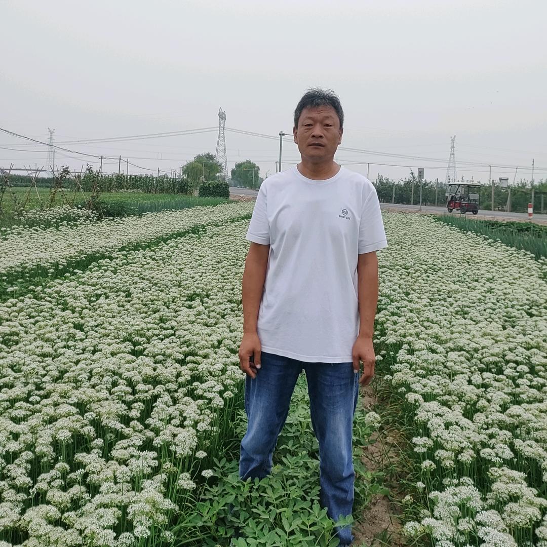 丰城一村书记