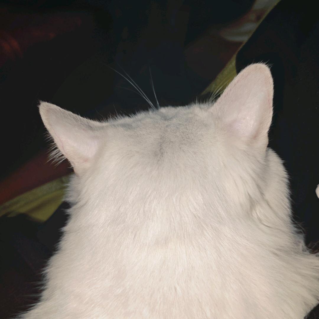 奈