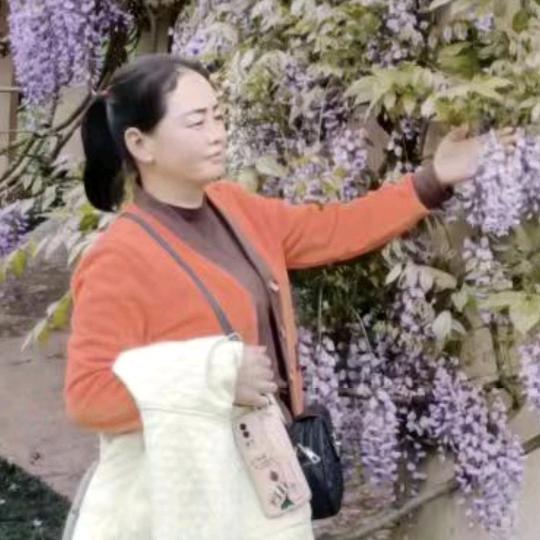 除了坚强，别无选择