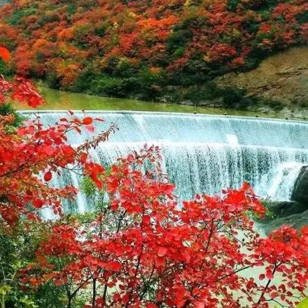 繁花似锦