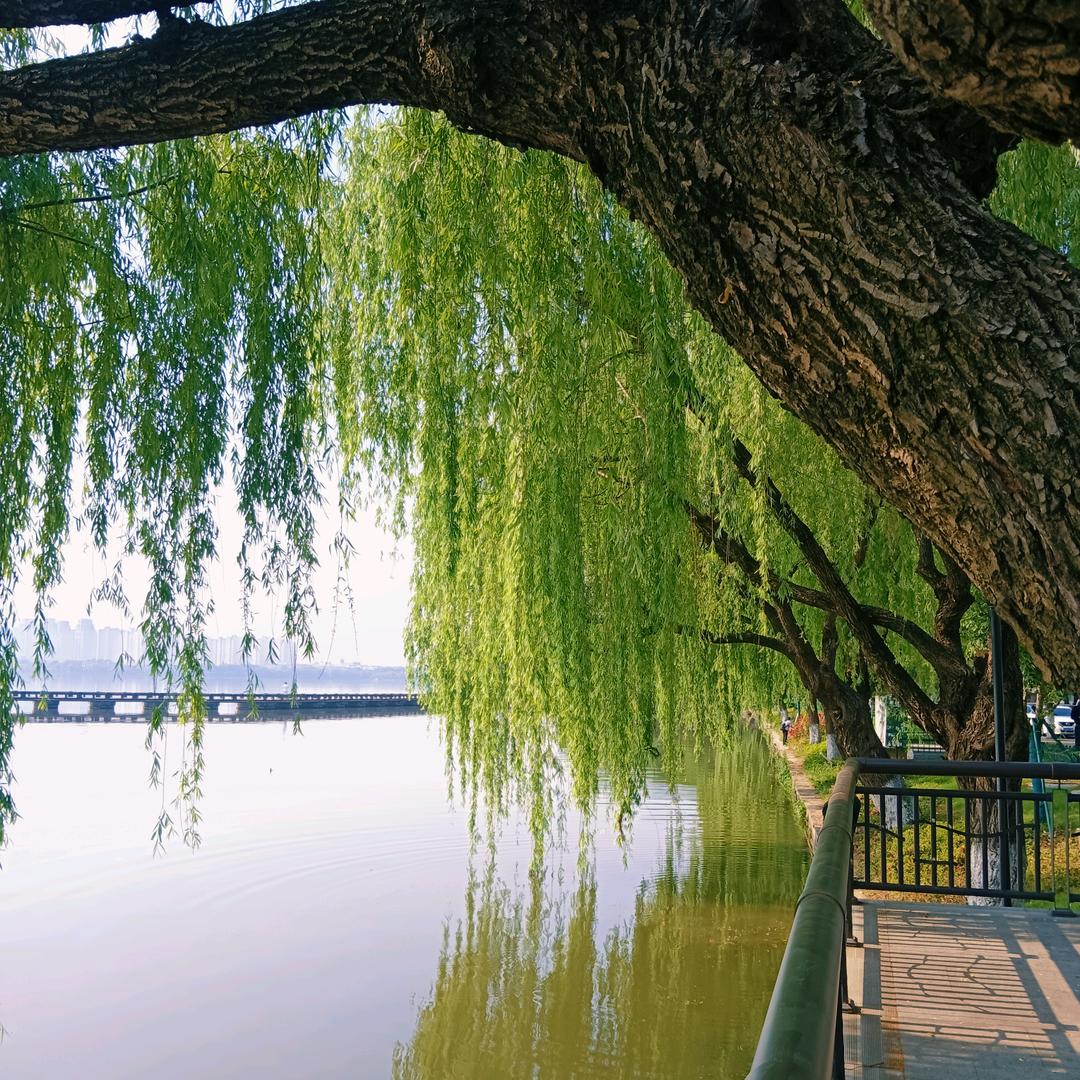 春风得意