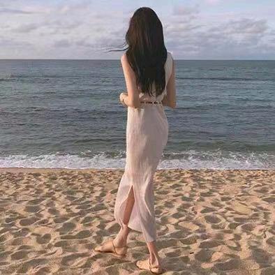 阳光逸竹