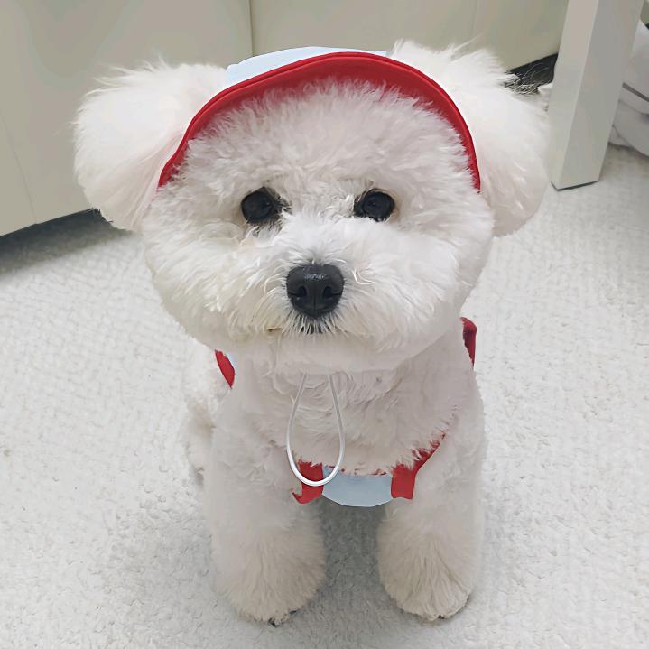 花花来啦~