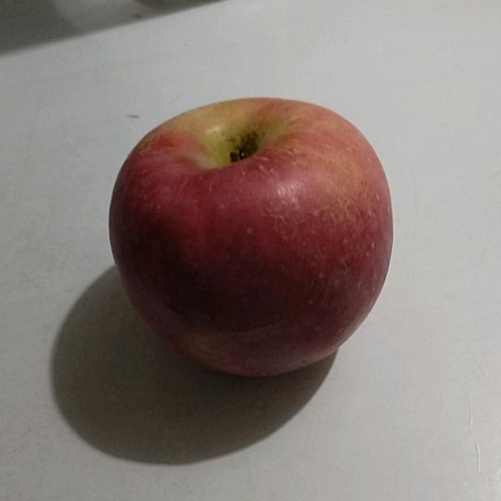 随风