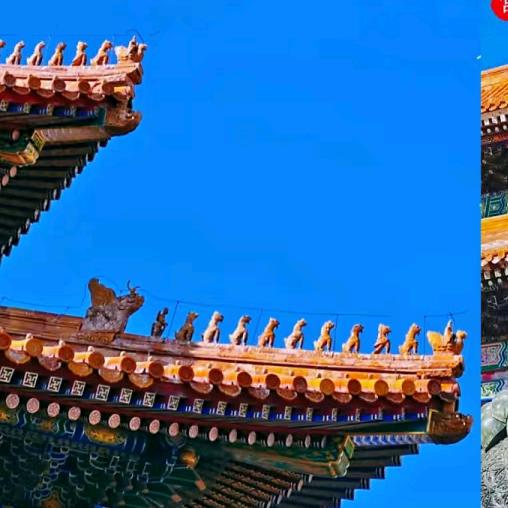 小菲带你逛北京