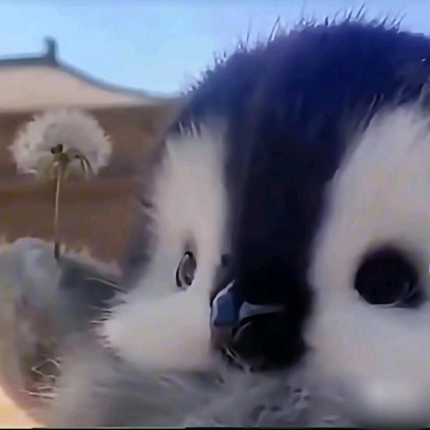 八辈子打不着杆