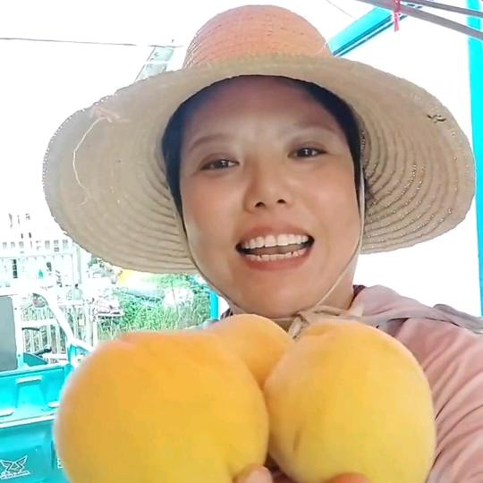 腊树四合黄桃（桃娘）