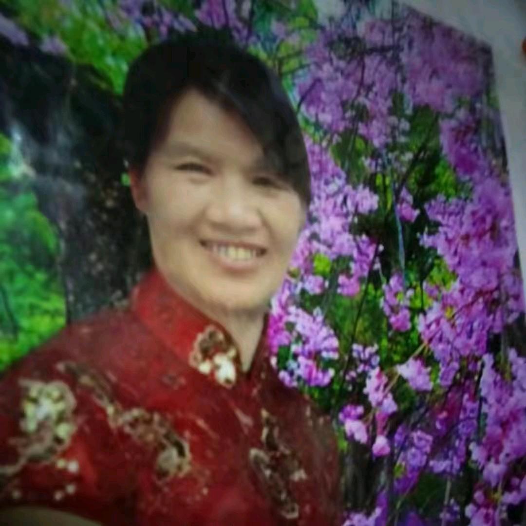 朱顶红