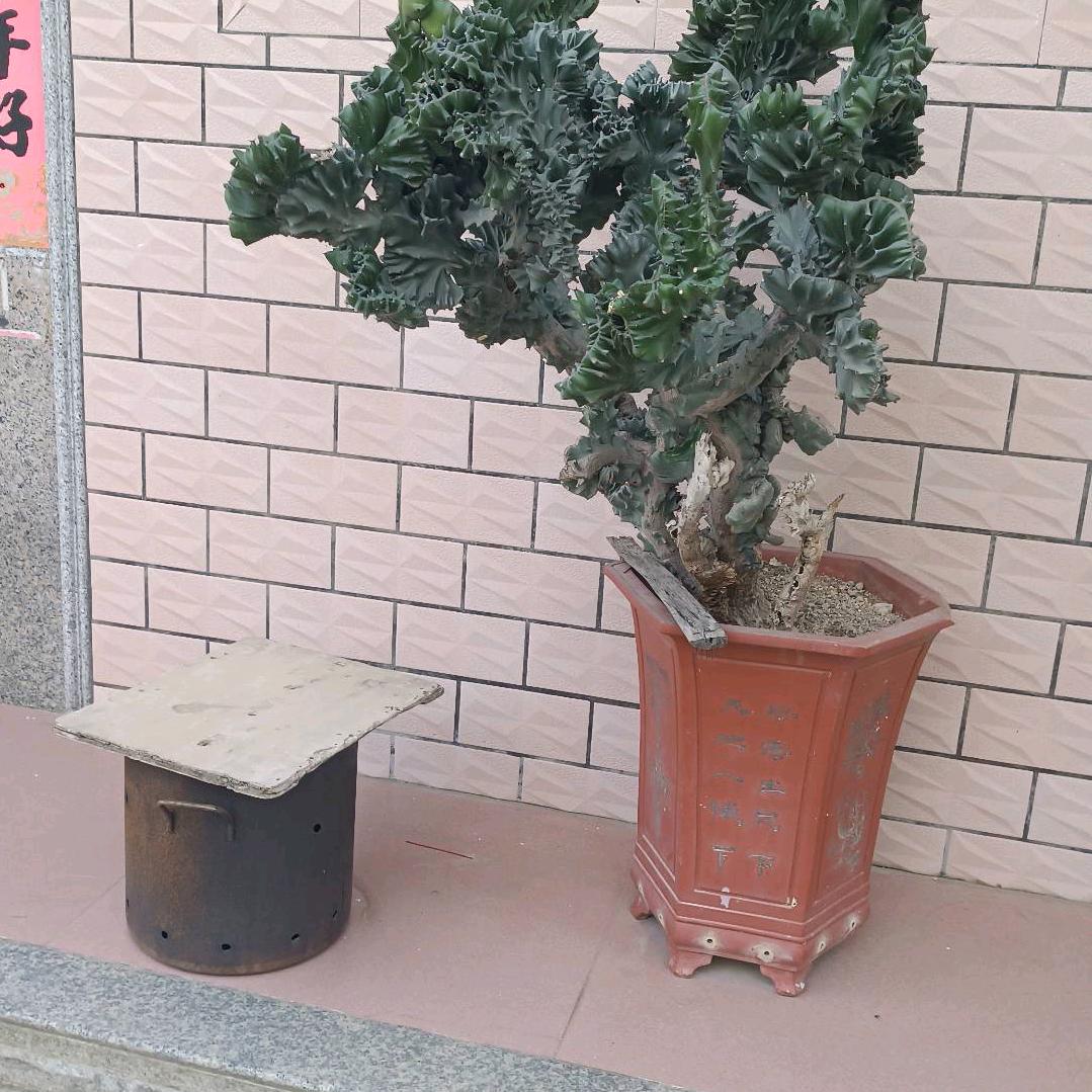 幸福奋斗