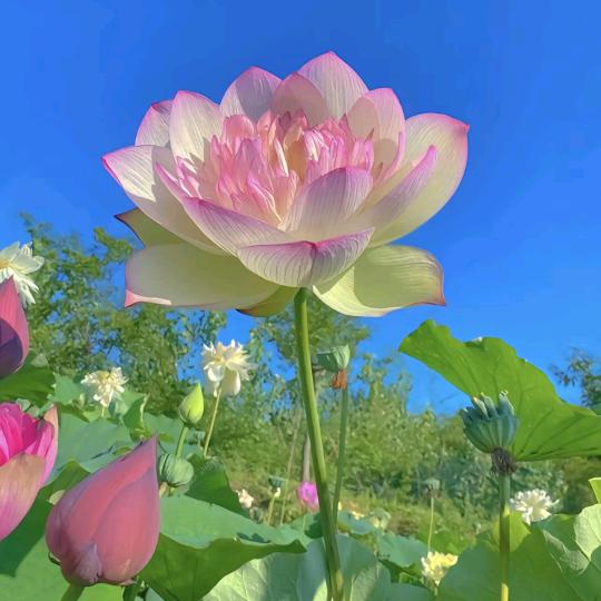 平安健康☆