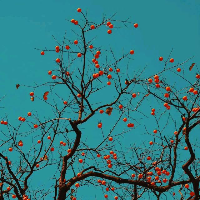 小满