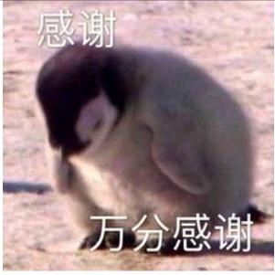 小天爱吃饭