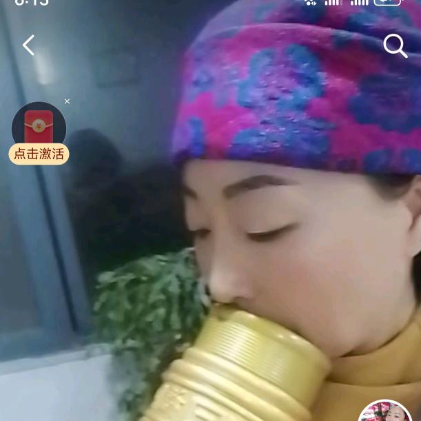 蜂外蜂联盟燕子姐姐