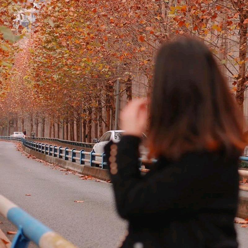 💫思绪🌸🌸🌻