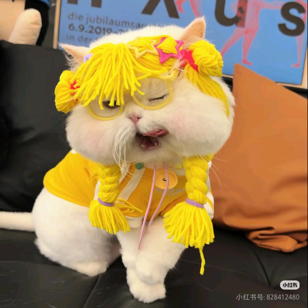 宇蒙