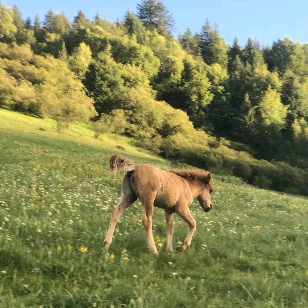 首饰道具源头工厂