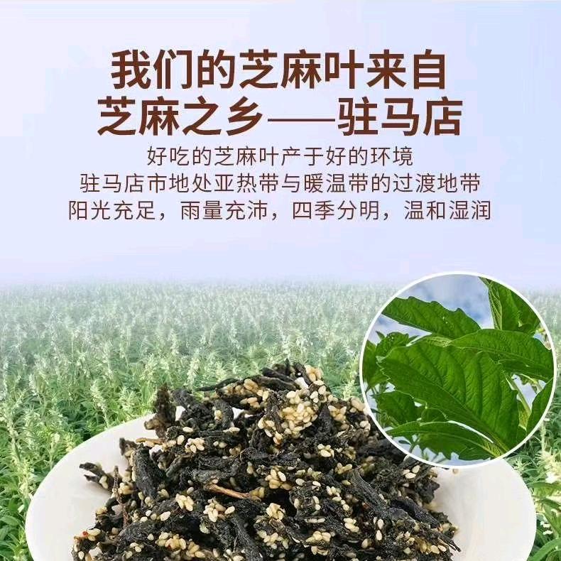 张少美食
