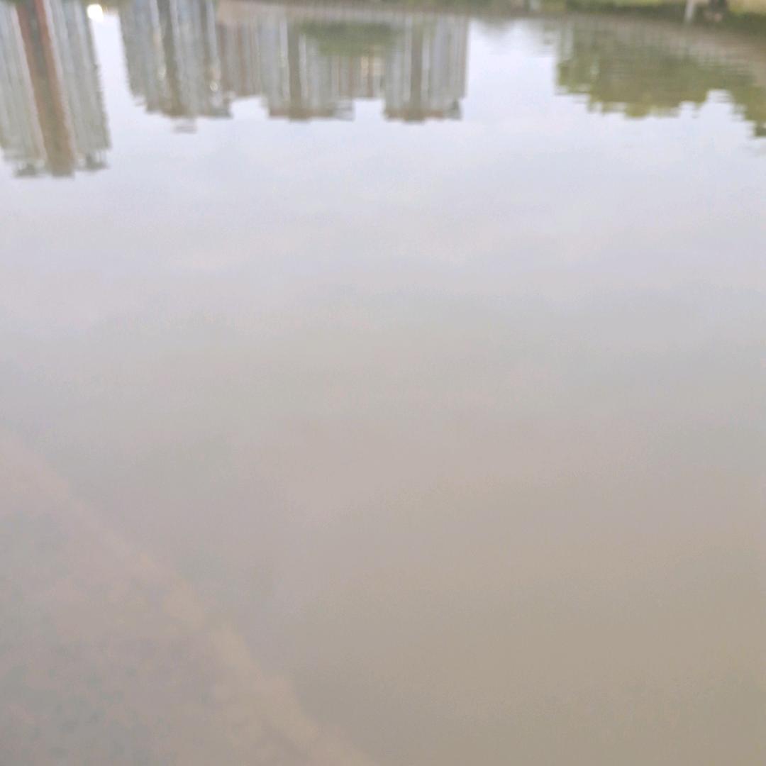 一个原装的废物