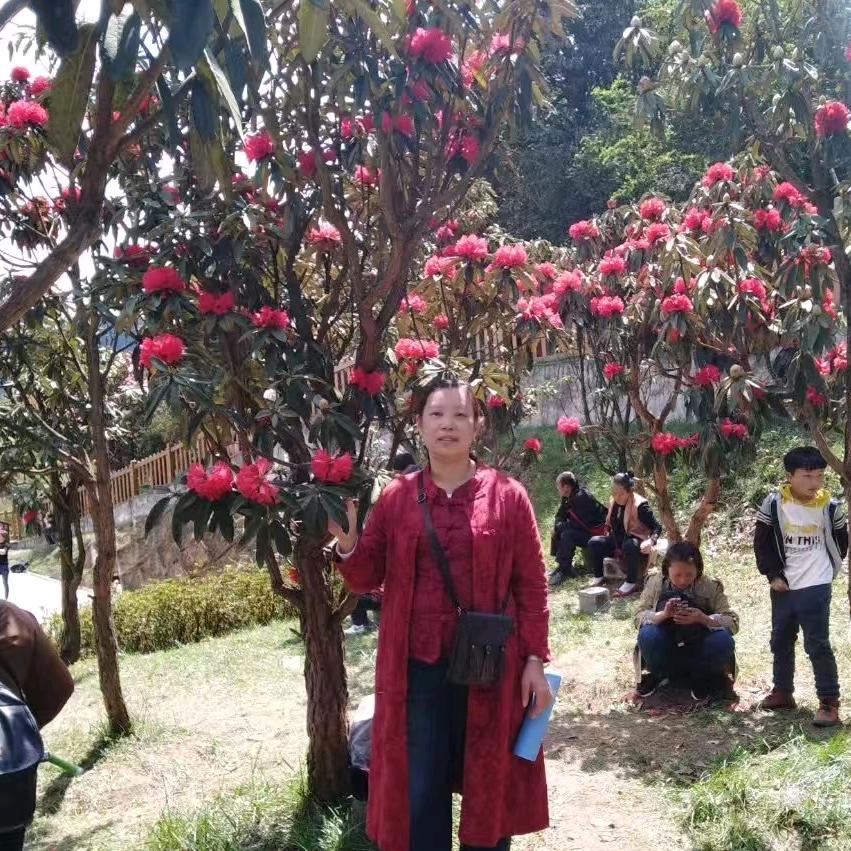 庄稼妹