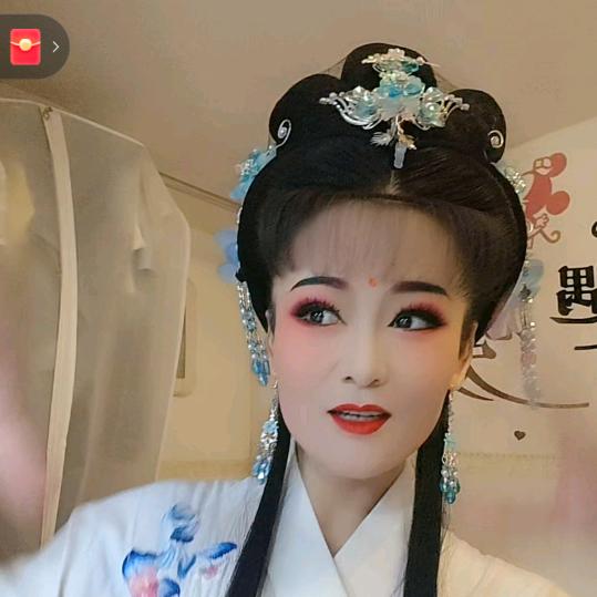 庐剧盛立琴