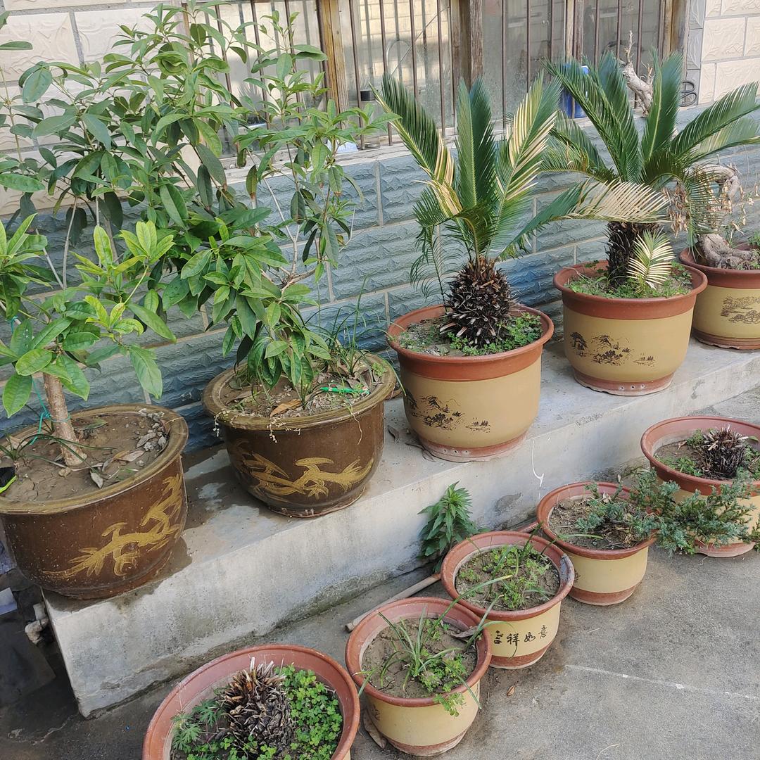 ？走自己的路，