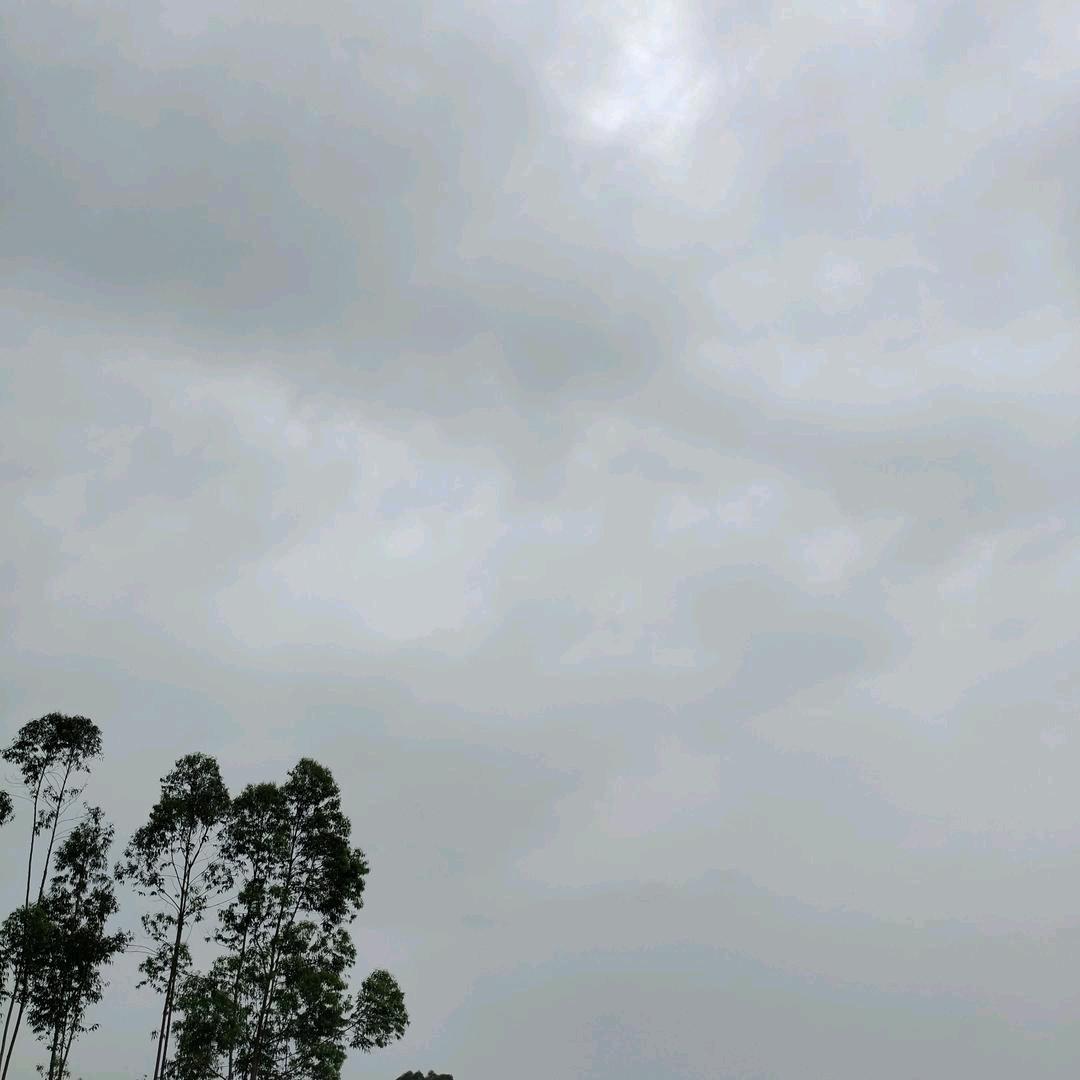 开心就好
