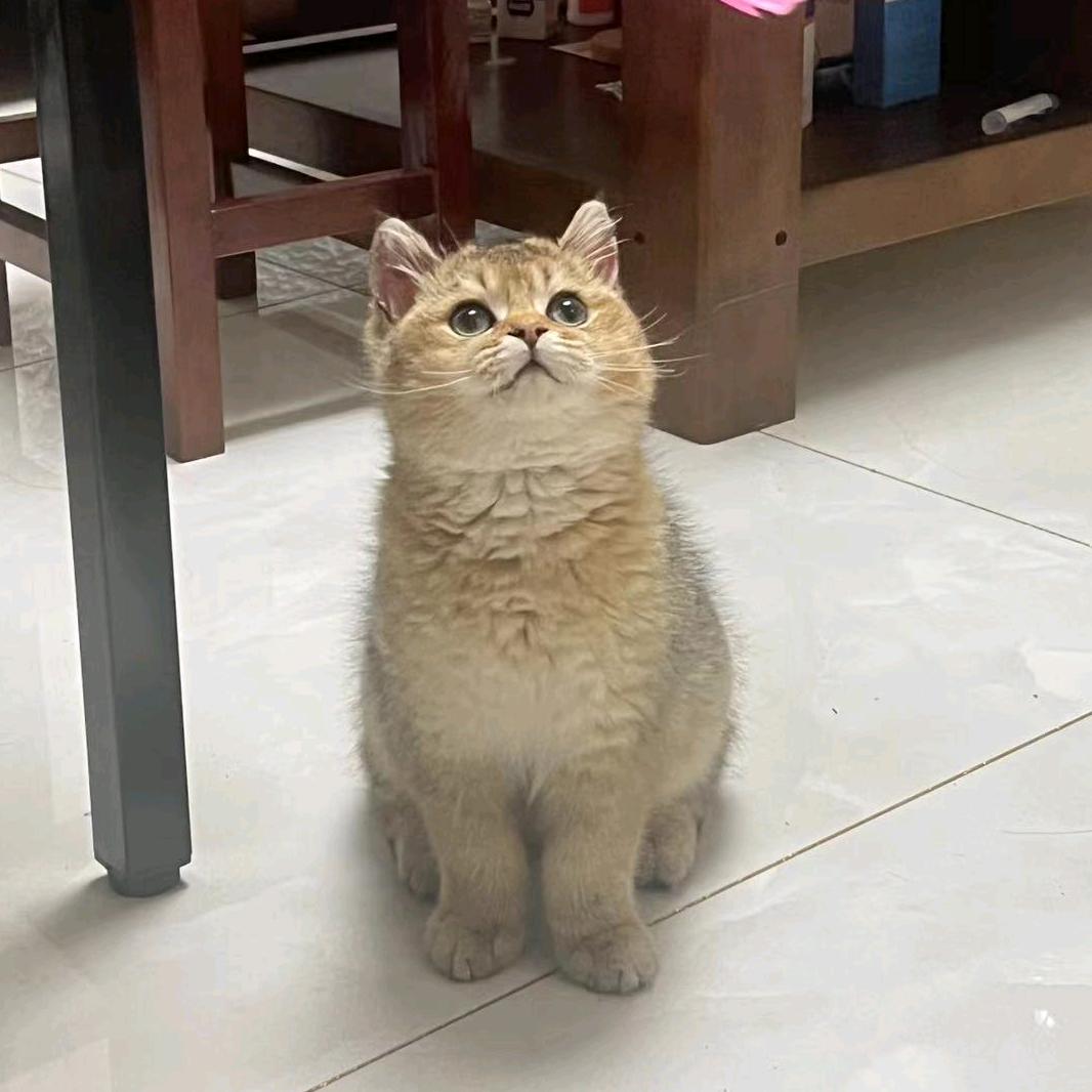留三手生活