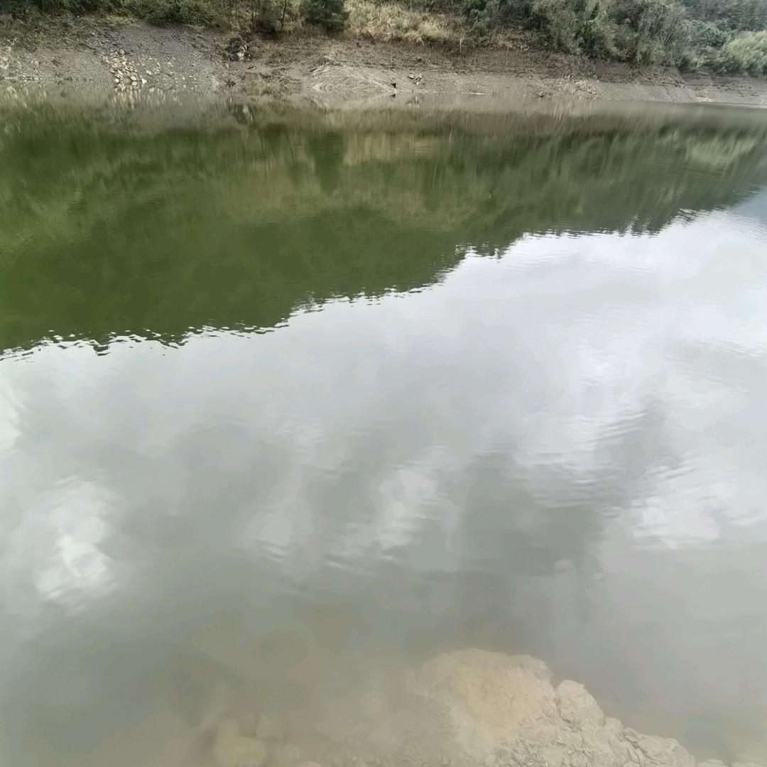 小石爱唱歌