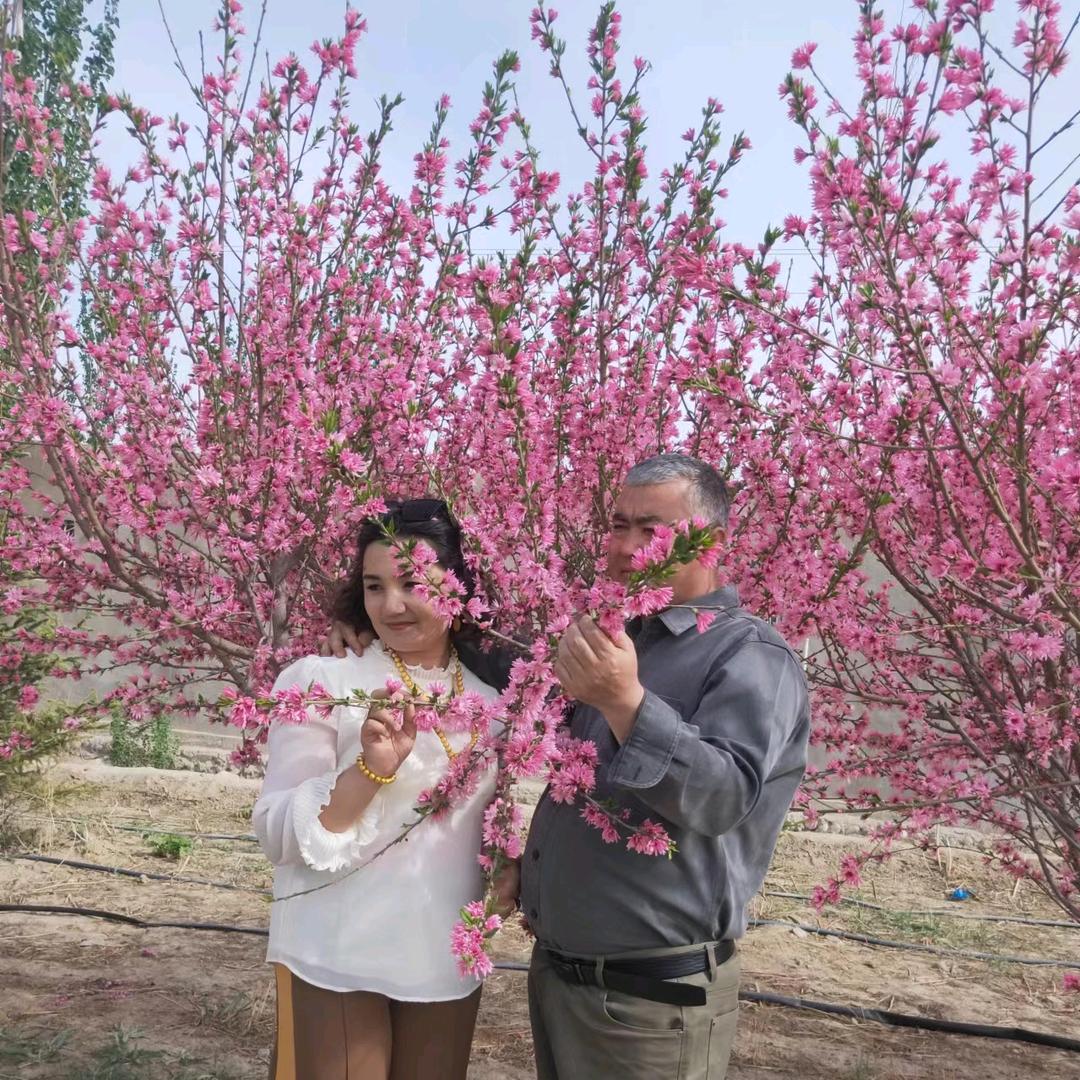 🌹一朵玫瑰花🌹