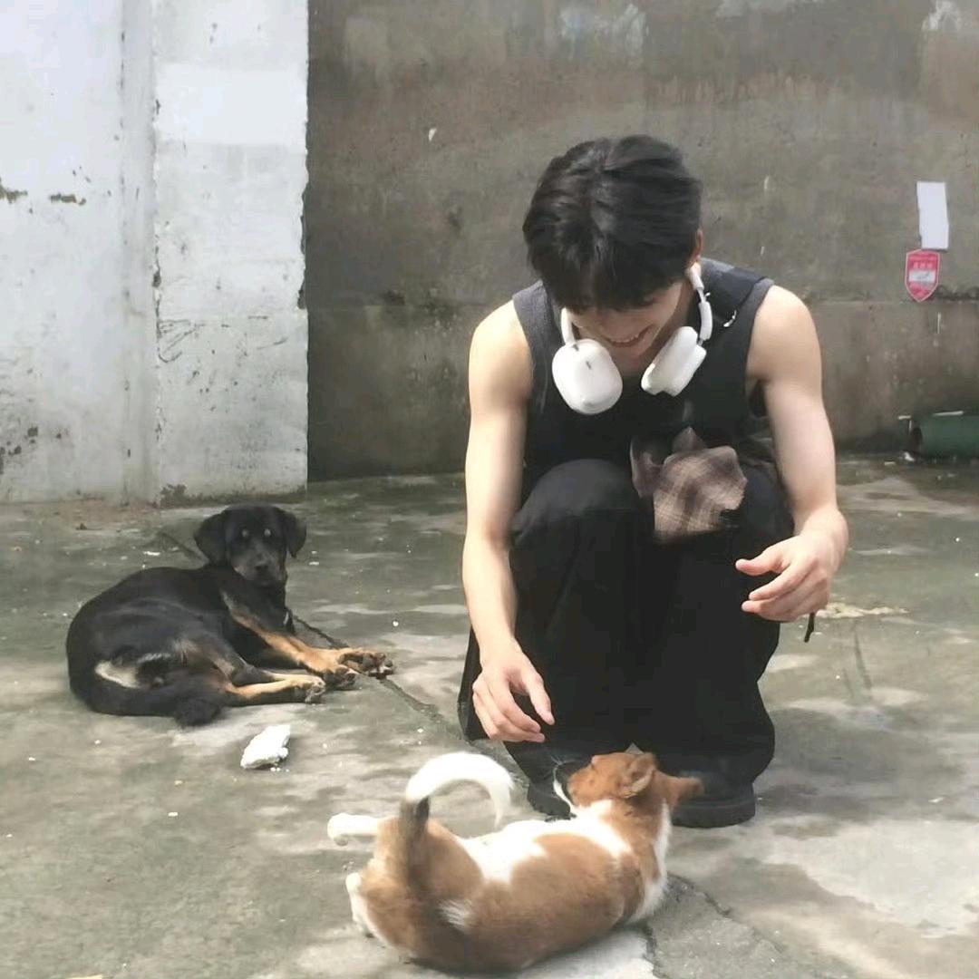 橘子🔮（见过梓渝版）