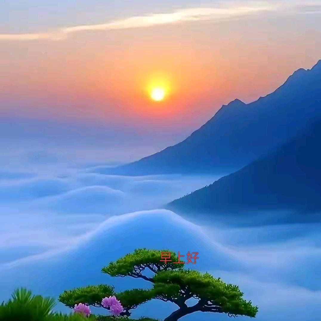 玉宇無麈