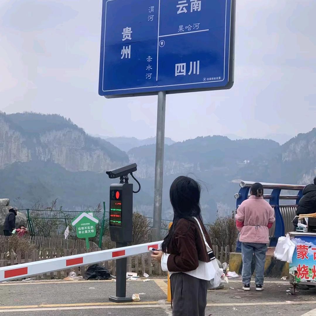 嘉述