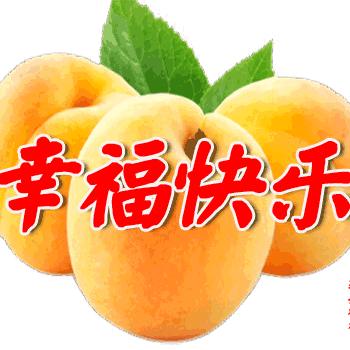 🍎一路阳光☀