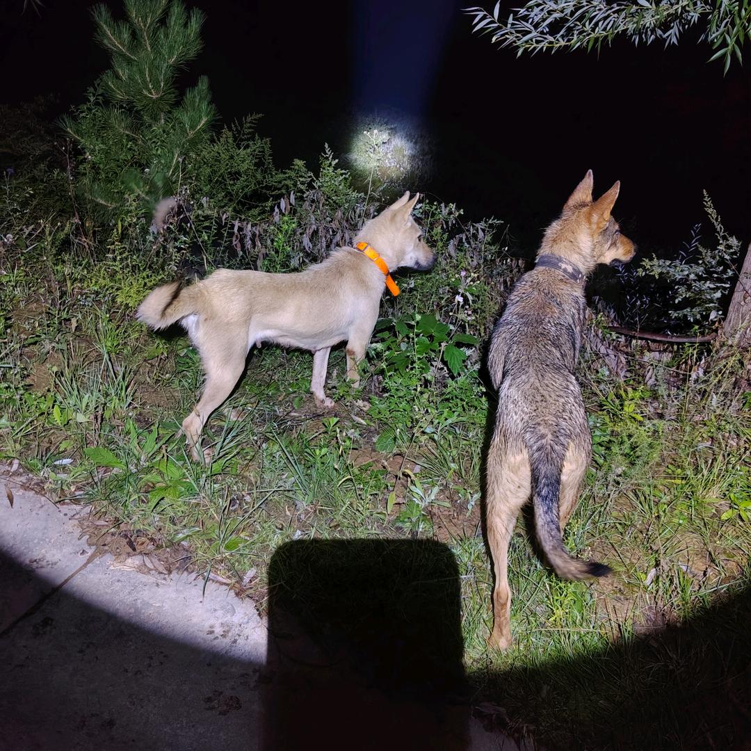 佩琪护送队-公益护农 (步猎）