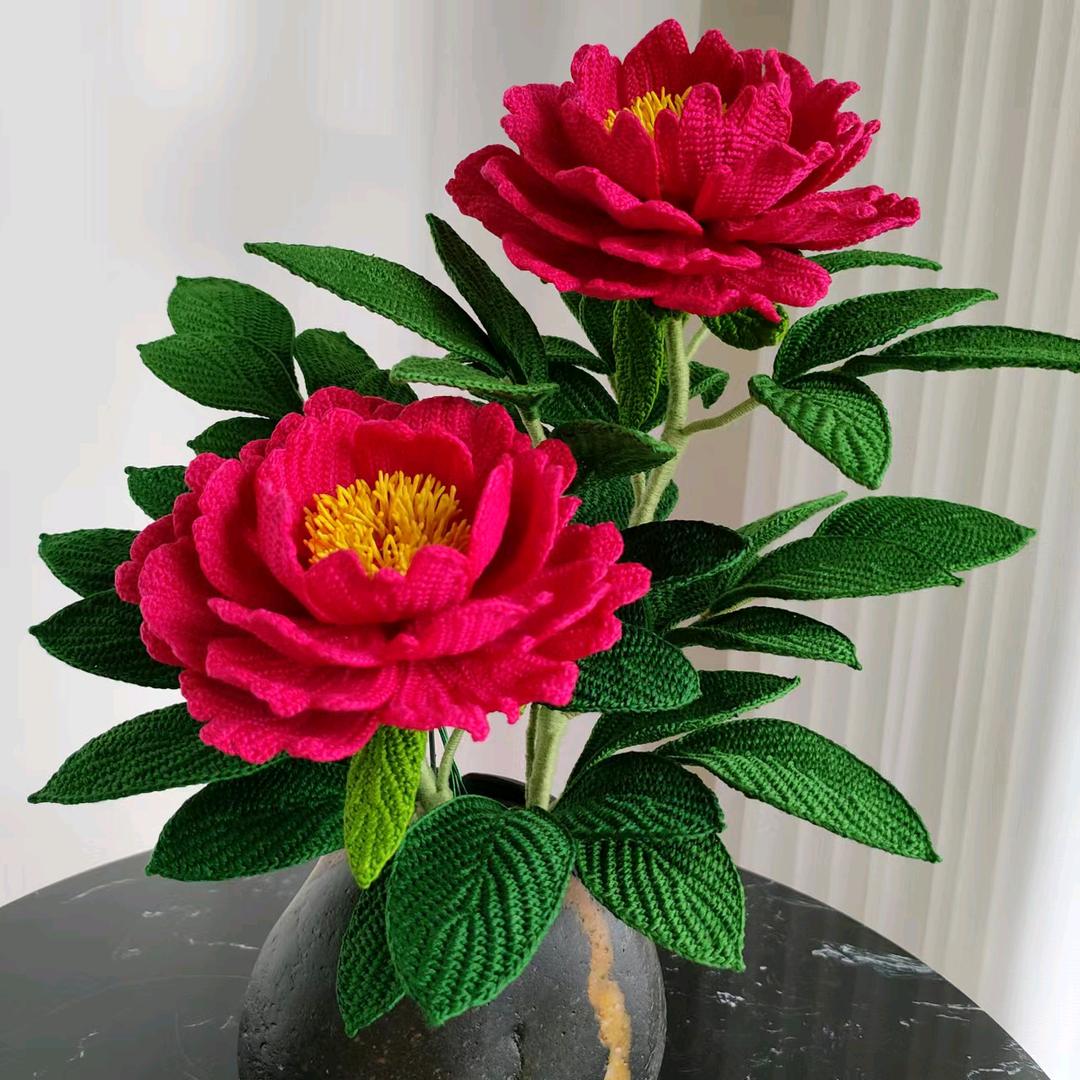 彩虹玩毛线